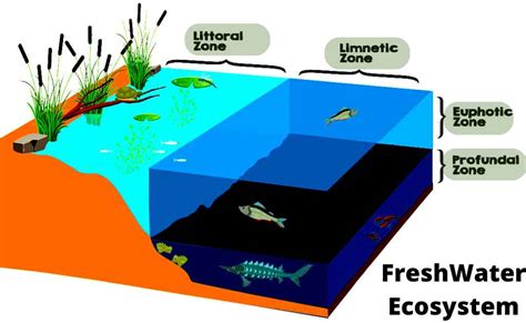  Yellow-Spotted Triclad:  A Tiny Mastermind Hiding Secrets Within Freshwater Ecosystems!