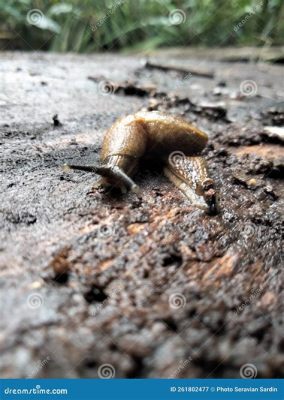  Martens' Snail: This Tiny Mollusk Might Just Be the Most Stylish Snail You've Ever Met!